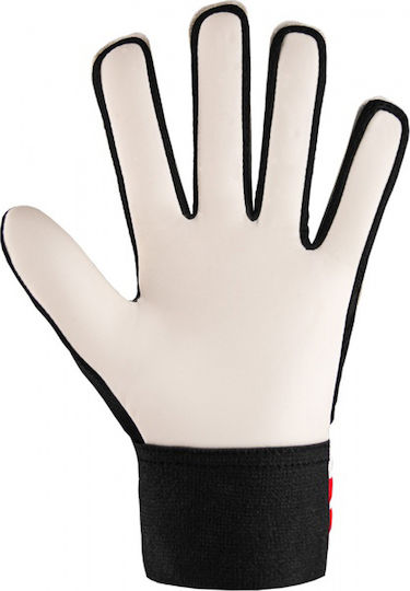 Reusch Reusch Attrakt Starter Solid Jnr Kids Goalkeeper Gloves Multicolour