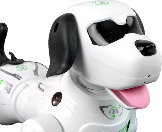 Interaktiver ferngesteuerter Roboterhund