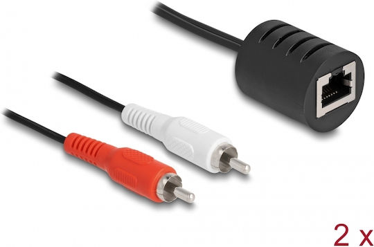 DeLock Μετατροπέας RCA 2x male σε RJ-45 female 2τμχ 87857