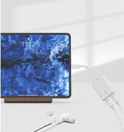 Belkin Connect Converter USB-C male to USB-C 2x female White 1pcs