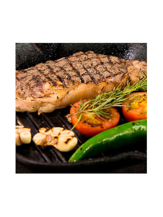 Thermogatz Angel Cook Γκριλιέρα από Μαντέμι 27cm