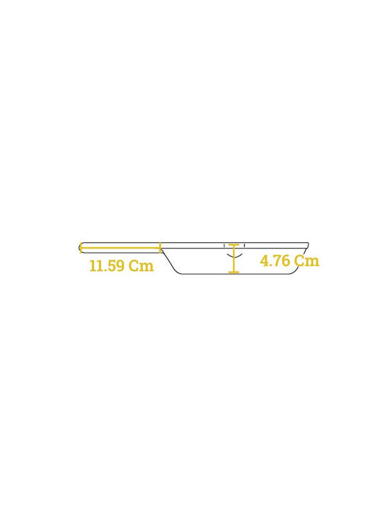 Lodge Pan aus Gusseisen 20.3cm