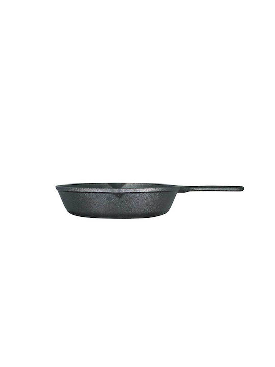 Lodge Pan aus Gusseisen 20.3cm