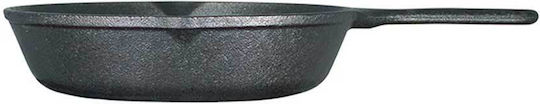 Lodge Pan aus Gusseisen 20.3cm