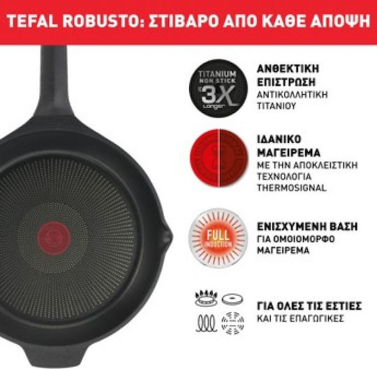 Tefal Robusto Pan made of Cast Aluminum with Non-Stick Coating 26cm
