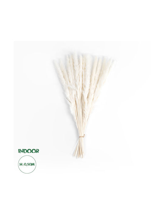 GloboStar Αποξηραμένο Φυτό Pampas grass Μπεζ 50cm