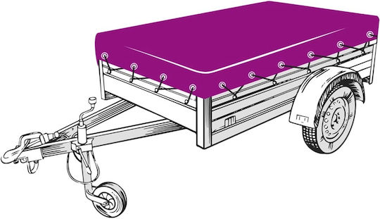 vidaXL Δίχτυ Αποσκευών Αυτοκινήτου 300x300cm Πράσινο