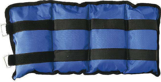 AMILA Βαράκια Άκρων 2 x 4kg