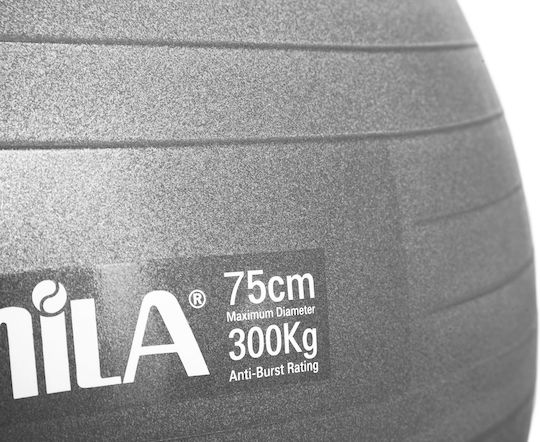 AMILA Ball Pilates 75cm , 1.80kg in Gray Color