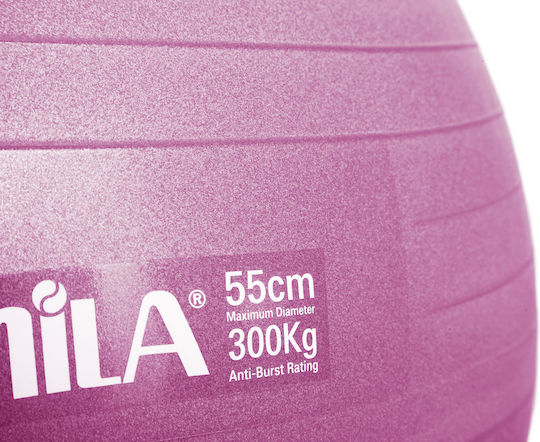 AMILA Ball Pilates 55cm , 1kg in Pink Color