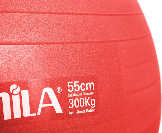 AMILA Ball Pilates 55cm , 1.2kg in Red Color
