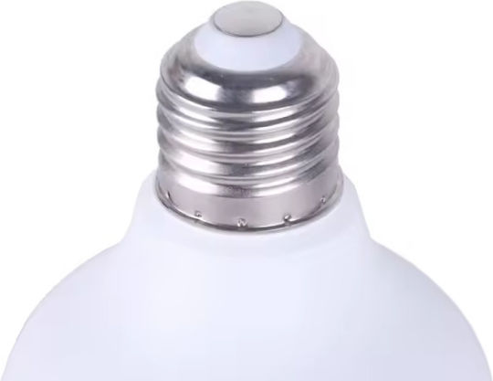 LED-Lampe 15W für Fassung E27 Kühles Weiß