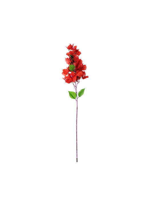 Bougainvillea Rote 80cm in Box GloboStar