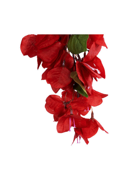 Bougainvillea Rote 80cm in Box GloboStar