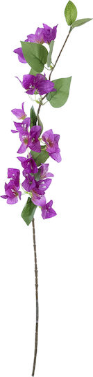 Bougainvillea Mov 80cm în Cutie GloboStar