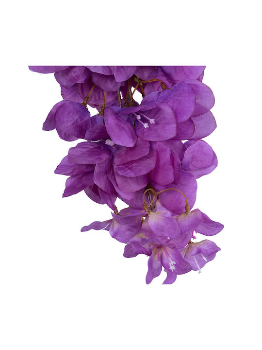 Bougainvillea Lila 80cm in Box GloboStar