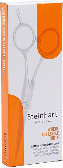 Steinhart Professional Шило за Рязане