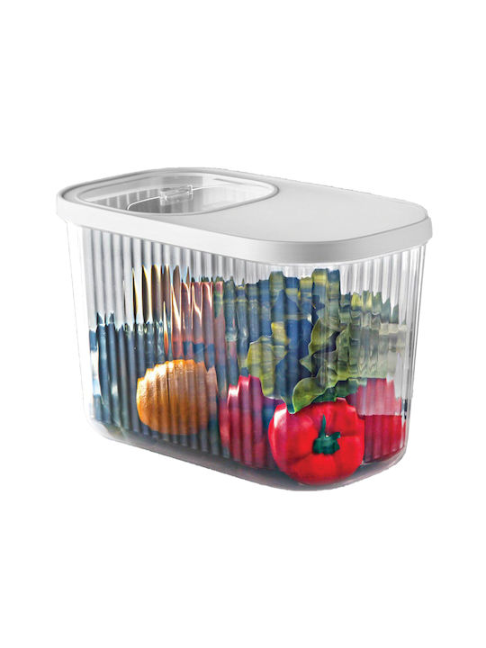 Viosarp Lunchbox Kunststoff Transparent 10000ml 1Stück