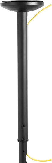 Newstar FPMA-C060BLACK Suport TV De Tavan Cu Braț De Extensie Până La 40" Și 20kg