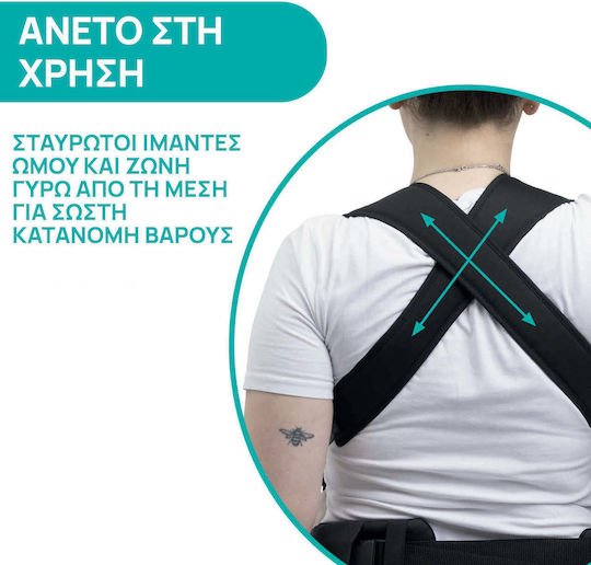 Chicco Classic Carrier Fit Skin Fit Green Wood with Maximum Weight 9kg