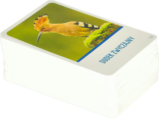 Board Game Trackers for 2-6 Players 8+ Years Old (PL) ikonka