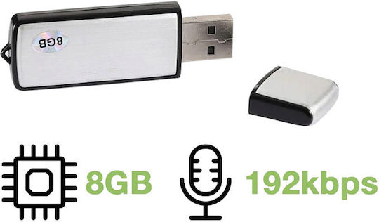 Verk Group Surveillance Bug Silver Capacity 8GB
