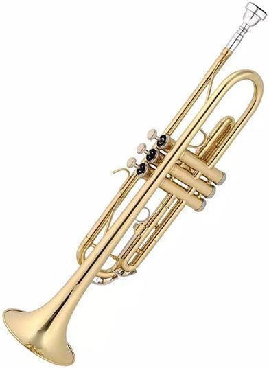 Prestige TP8001G Supreme Bb