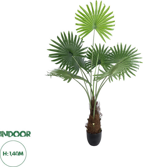 Globostar Artificial Garden Serenoa Palm Plant 20971 Decorative Palm Tree Plant Serenoa Φ60 X H140cm Globostar Artificial Garden Serenoa Palm Plant 20971 Decorative Palm Tree Plant Serenoa Φ60 X H140cm