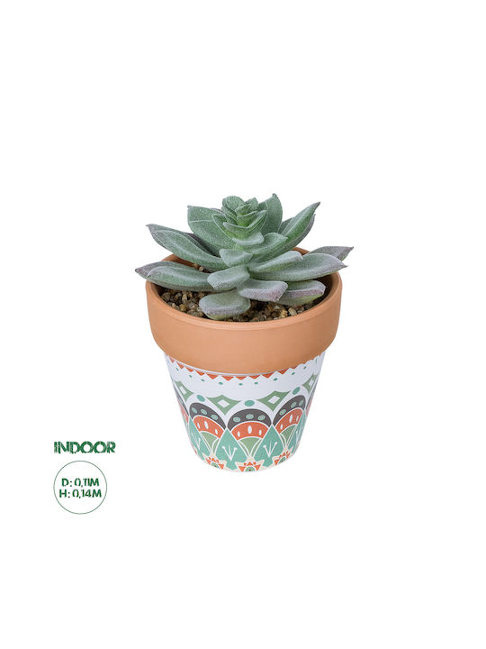 Plantă decorativă Globostar Artificial Garden Succulent Sedeveria în ghiveci 21041 Sedeveria Φ11x Η14cm