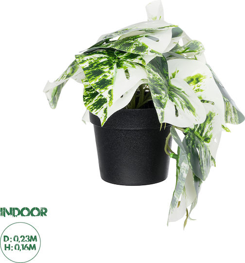 Globostar Artificial Garden Albino Monstera Plant 20946 Decorative Monstera Plant Φ23 X H16cm Globostar Artificial Garden Albino Monstera Plant 20946 Decorative Monstera Plant Φ23 X H16cm