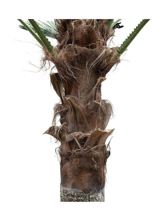 Planta artificială de grădină Globostar Palmier 21056 Palmier decorativ H240 x H500cm