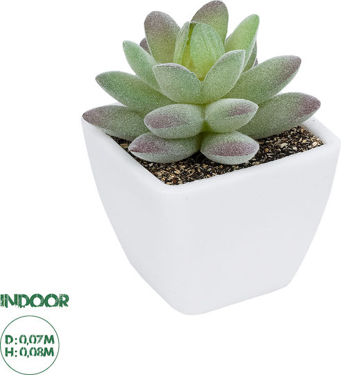 Globostar Artificial Garden Succulent Sedeveria Potted Plant 20975 Decorative Plant Phoenix Serenoa H7 X H8cm