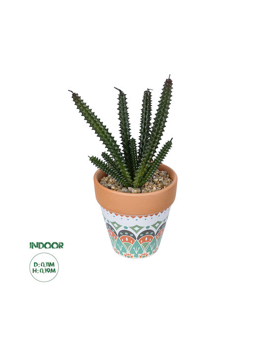 Globostar Plantă Artificială de Grădină Suculentă Euphorbia în Ghiveci 21045 Plantă Decorativă Euphorbia Φ11 X H19cm