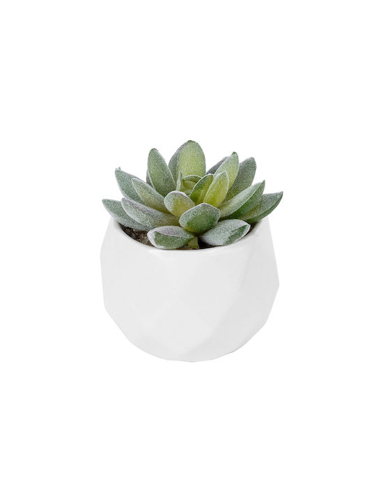 Globostar Artificial Garden Succulent Sedeveria Potted Plant 20987 Decorative Plant Sedeveria Φ7 X H7.5cm