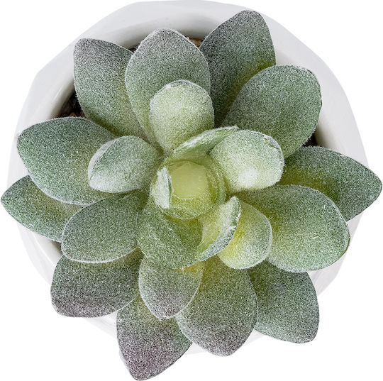 Globostar Artificial Garden Succulent Sedeveria Potted Plant 20987 Decorative Plant Sedeveria Φ7 X H7.5cm