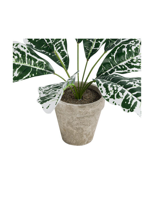 Globostar Artificial Garden White Aglaonema Potted Plant 20903 Decorative Plant White Aglaonema Φ40 X H33cm