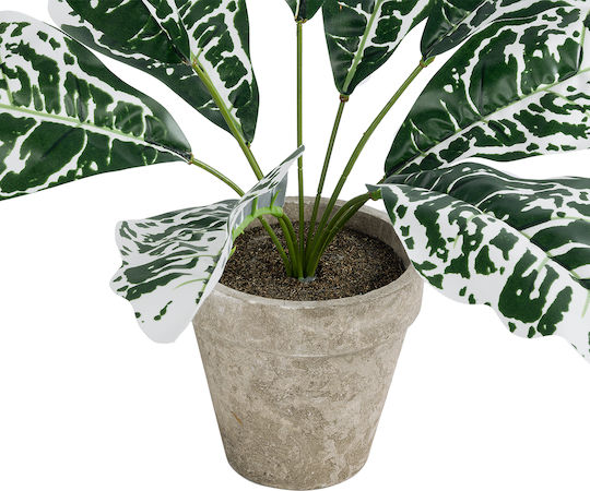 Globostar Künstliche Garten Weiße Aglaonema Topfpflanze 20903 Dekorative Pflanze Weiße Aglaonema Φ40 X H33cm
