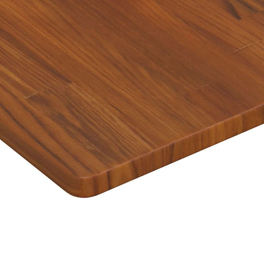 vidaXL Waschtisch ohne Waschbecken L60xB60xH2.5cm Coffee