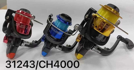 Fischrolle 31243