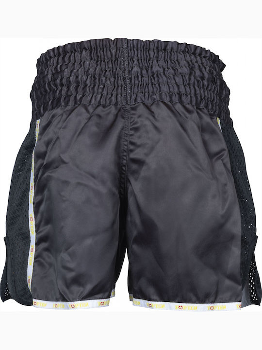 Top Ten Ifma Men's Kick/Thai Boxing Shorts Black