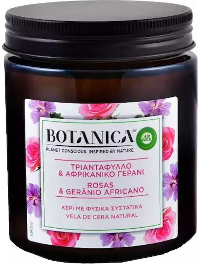 Airwick Botanica Αρωματικό σε Βάζο Τριαντάφυλλο & Αφρικανικό Γεράνι Airwick Botanica Αρωματικό σε Βάζο Τριαντάφυλλο & Αφρικανικό Γεράνι