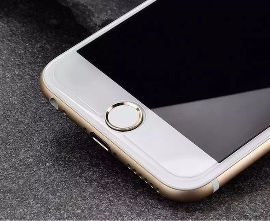 Wozinsky Tempered Glass (Galaxy M15)