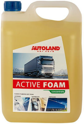 Autoland Foam Cleaning Active Cleaning Foam for Body Active Foam 5lt 123015099