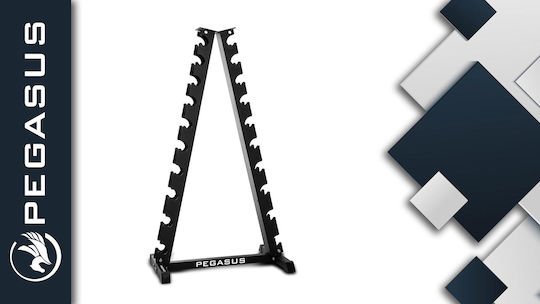 Pegasus Vertical Dumbbell Rack Pg-042 for 10 Pairs 390018042