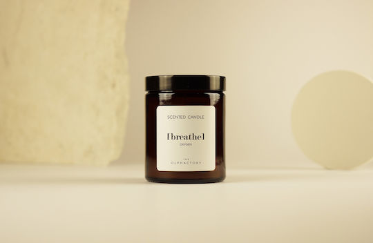 Ambientair Αρωματικό Κερί σε Βάζο με Άρωμα Breathe 135gr