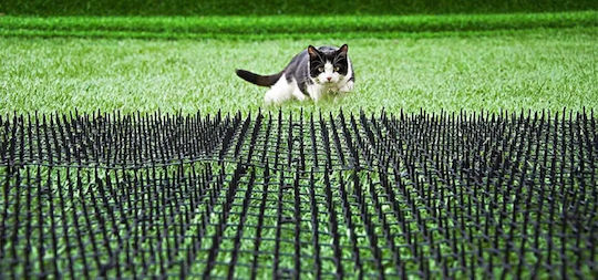 Repellent Spikes Cats / Birds 38x38m