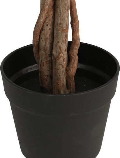 Zitronenbaum im Freien 85cm vidaXL