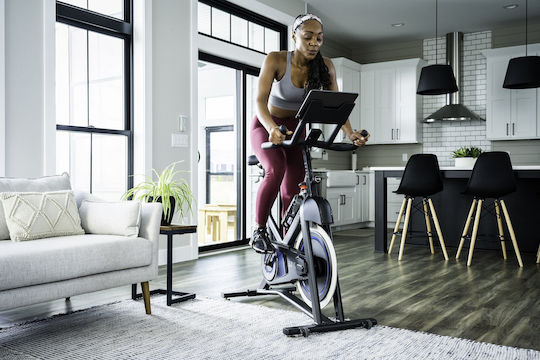 Horizon Fitness Spin Bike Magnetic