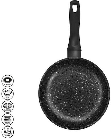 Orion Grande Aluminum Pan with Non-Stick Coating 20cm