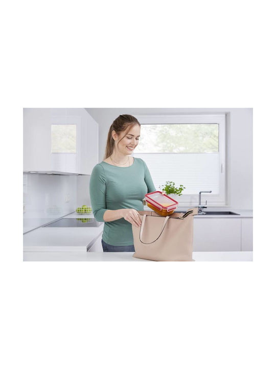 Tefal Masterseal Lunchbox Glas 850ml 1Stück